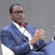 Ex-AfDB Chief Adesina Chairs Botswana Fund, Joins Jumia Board