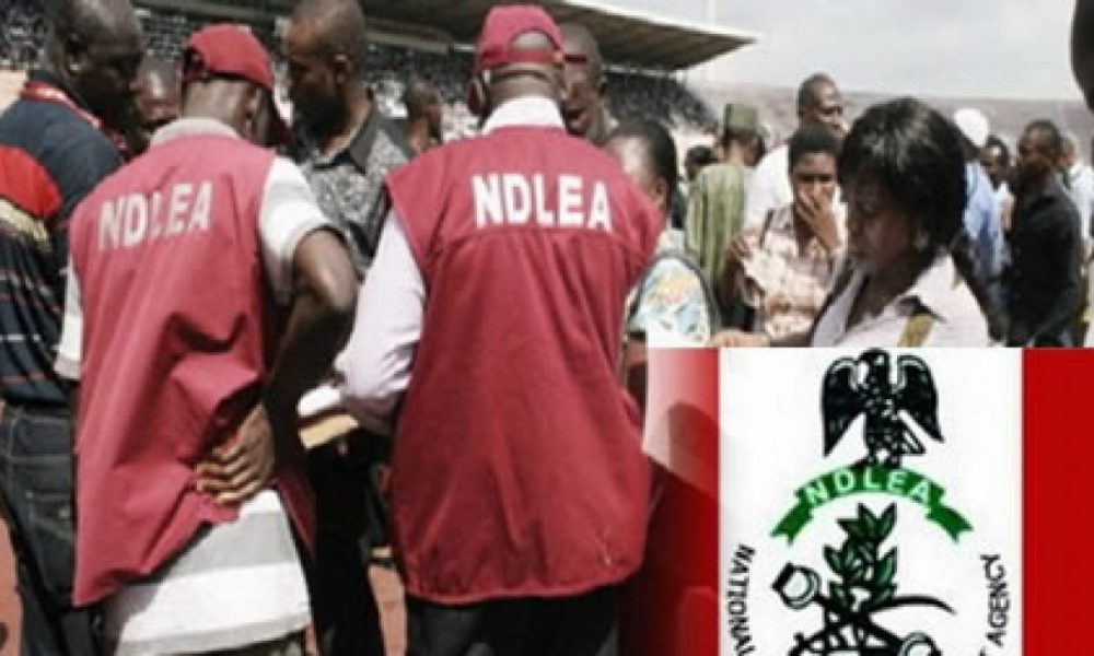 NDLEA arrests 60 at Abuja ‘Go hard or Go Home’ party