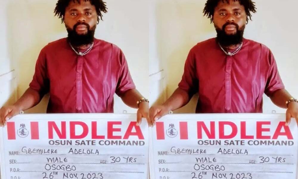 NDLEA raids illicit drug party, nabs organizers in Osun