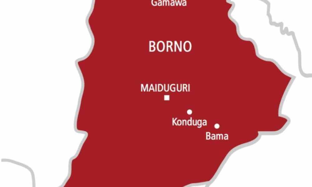 Landmines kill 5 JTF members, others wounded on Borno highway