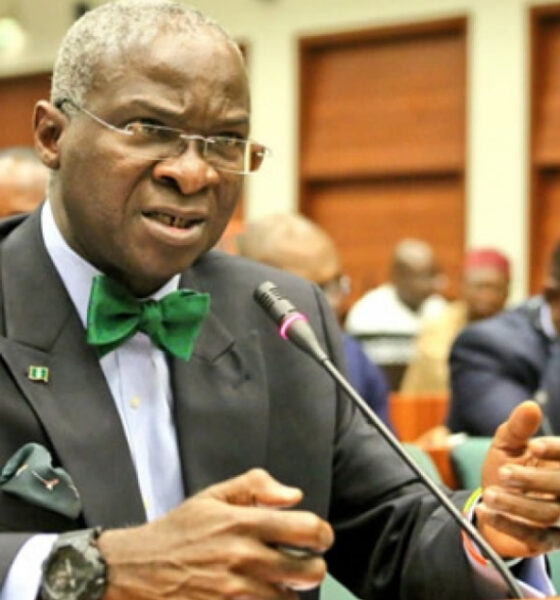 No Election Is Perfect Anywhere – Fashola Tells Opposition to Accept Results