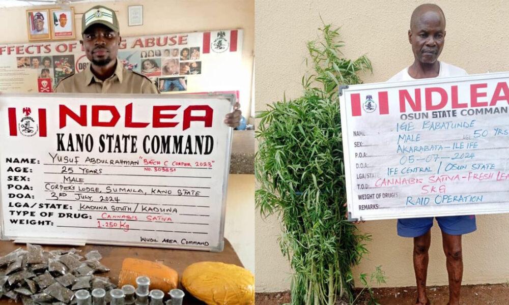 Osun village head, corps member arrested over illicit drugs