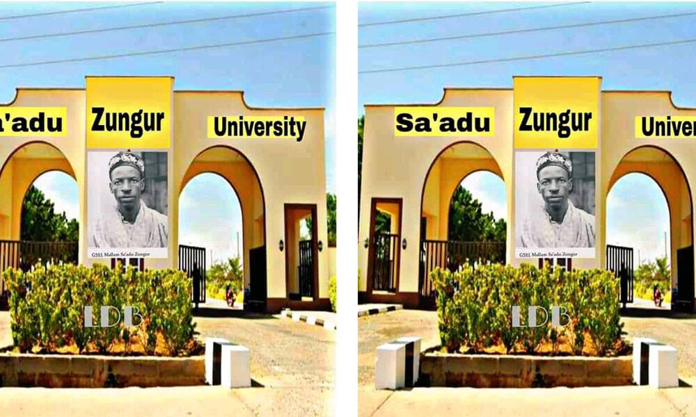 30 lecturers resign from Nigerian university over poor pay