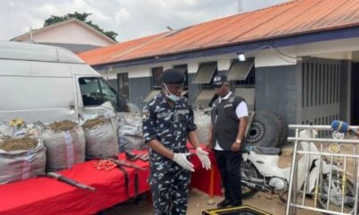 Imo Police Detain 25 Suspects Linked to Armed Robbery, Terrorism