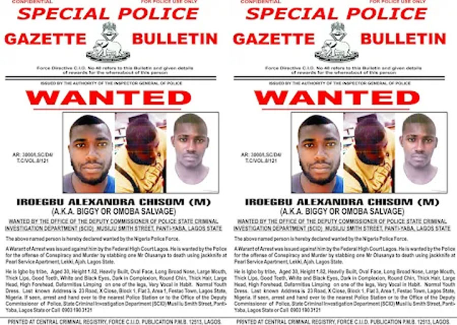 Lagos Police Launch Manhunt for Suspect in Brutal Ajah Murder