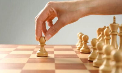 The Sepia Pawn on the Chessboard