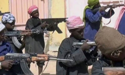 Viral Video Shows Children Armed With Guns in Borno