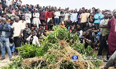 8 killed as gunmen raid Plateau community