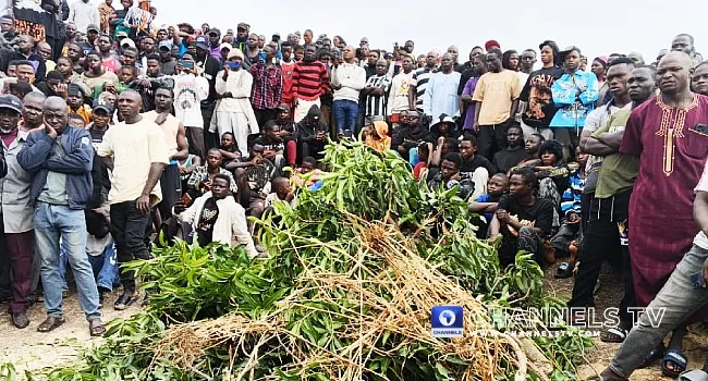 8 killed as gunmen raid Plateau community