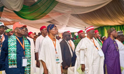 ADC convention ratifies David Mark-led NWC