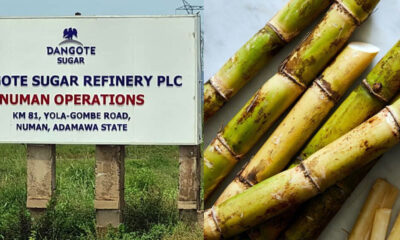 Dangote Sugar Warns Staff Over Chewing Sugarcane