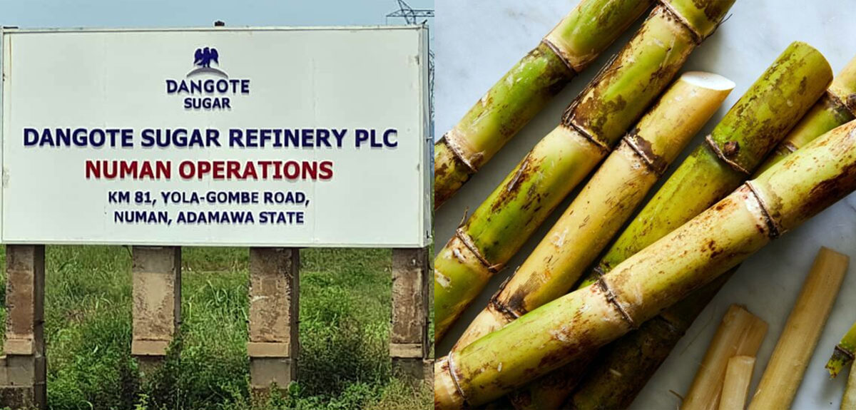 Dangote Sugar Warns Staff Over Chewing Sugarcane