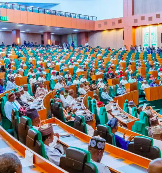 House of Reps Passes State Police Bill with 311 Votes, Moves Nigeria to Decentralised Policing