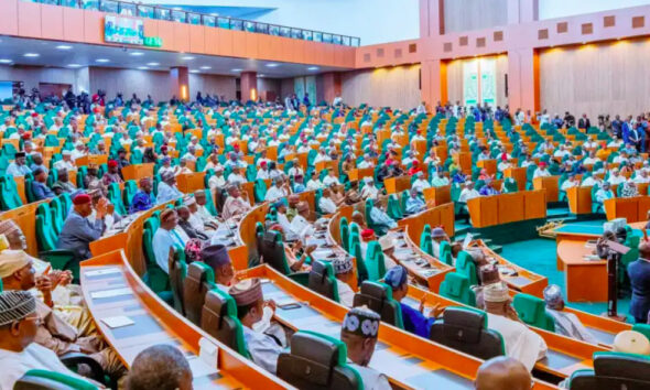Reps in Rowdy Session Over Motion to Summon Tinubu Over 2025 Budget Delays