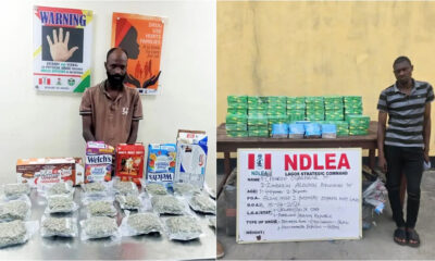 NDLEA Dismantles Drug Syndicate, Seizes Cocaine Hidden in Food Flasks