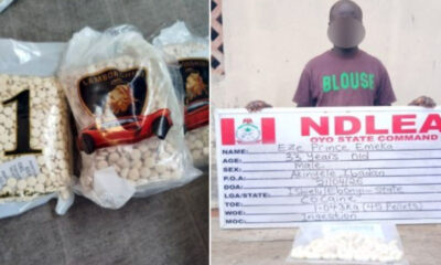 NDLEA Intercepts Suspected ISIS-Linked Drug in Kwara