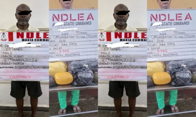NDLEA Smashes Drug Networks