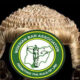 Nigerian Bar Association (NBA)