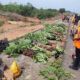 16 Killed In Fatal Lokoja–Okene Highway Crash