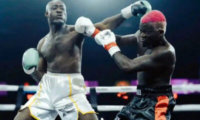 Doctor Urges Portable to Take Brain Scan After Celebrity Boxing Fight With Carter Efe