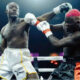 Doctor Urges Portable to Take Brain Scan After Celebrity Boxing Fight With Carter Efe
