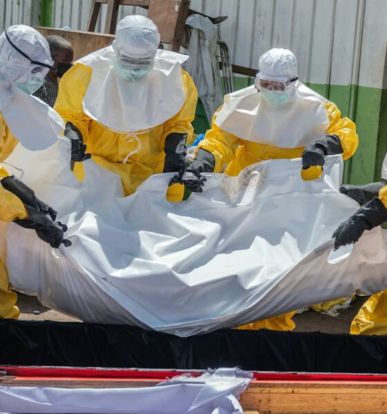 FG Confirms Ebola Case in Abuja, Identifies 44 Contacts