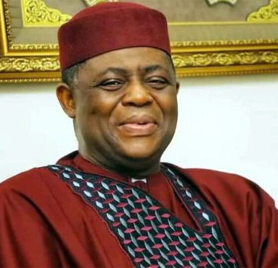 Fani-Kayode Condemns Fresh Killing of Two Nigerians in South Africa