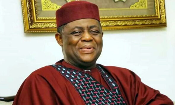 Fani-Kayode Condemns Fresh Killing of Two Nigerians in South Africa