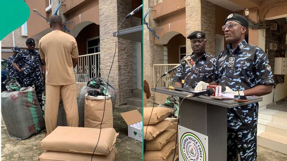 Police Reject ₦500m Bribe, Seize 425 Bags of Suspected Canadian Loud Worth ₦7.8bn