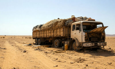 49 Die of Thirst in Niger's Sahara Desert After Truck Breakdown