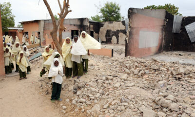 Boko Haram Torches Schools in Borno, Residents Escape Into Bush