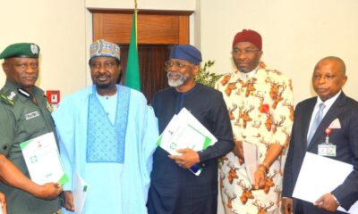  State Police Framework Ready Soon, Presidency Tells Nigerians