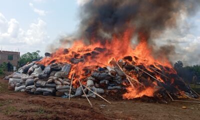 NDLEA Destroys ₦2.8 Billion Worth of Cannabis, Cocaine, Heroin in Edo Drug Bust