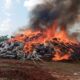 NDLEA Destroys ₦2.8 Billion Worth of Cannabis, Cocaine, Heroin in Edo Drug Bust
