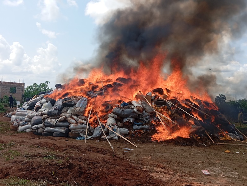 NDLEA Destroys ₦2.8 Billion Worth of Cannabis, Cocaine, Heroin in Edo Drug Bust