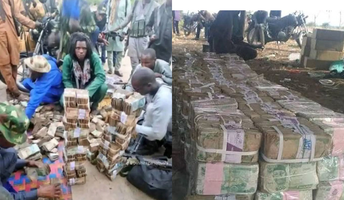 Senate Orders Police, DSS to Track Bandits Flaunting Cash on TikTok