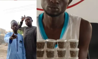 Sowore condemns seven-year jail term for Kano man over cannabis advert
