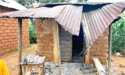 Gunmen Kill 5 Siblings, 25 Others in Midnight Attack on Kaduna Community