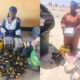 Troops intercept foreign courier carrying drugs, alcohol to terrorists in Borno