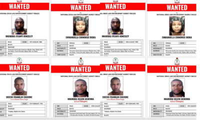 NDLEA Freezes N9.8bn, Seizes Filling Station, Buildings, SUVs in Major Drug Bust