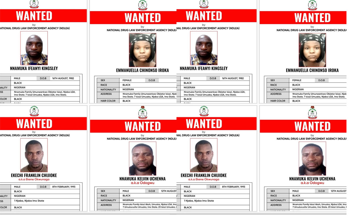 NDLEA Freezes N9.8bn, Seizes Filling Station, Buildings, SUVs in Major Drug Bust
