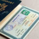 NIS Releases Step-by-Step Guide for Contactless Passport Renewal Abroad