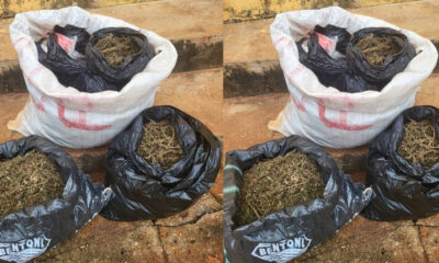 Anambra Police Arrest 28-Year-Old Suspected Drug Dealer, Recover ₦5.8m Illicit Consignment