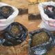 Anambra Police Arrest 28-Year-Old Suspected Drug Dealer, Recover ₦5.8m Illicit Consignment