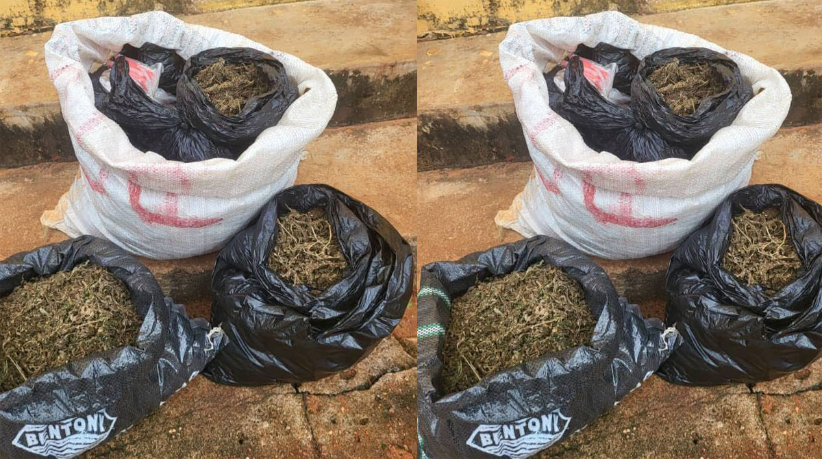Anambra Police Arrest 28-Year-Old Suspected Drug Dealer, Recover ₦5.8m Illicit Consignment