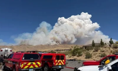 Hawk Fire in US Rages On, Burns 10,500 Acres in Nevada, Forces Mass Evacuations