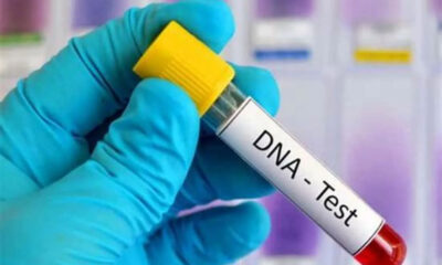 23.6% Negative: New DNA Data Shows Paternity Doubts Remain High Among Nigerian Men