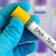 23.6% Negative: New DNA Data Shows Paternity Doubts Remain High Among Nigerian Men