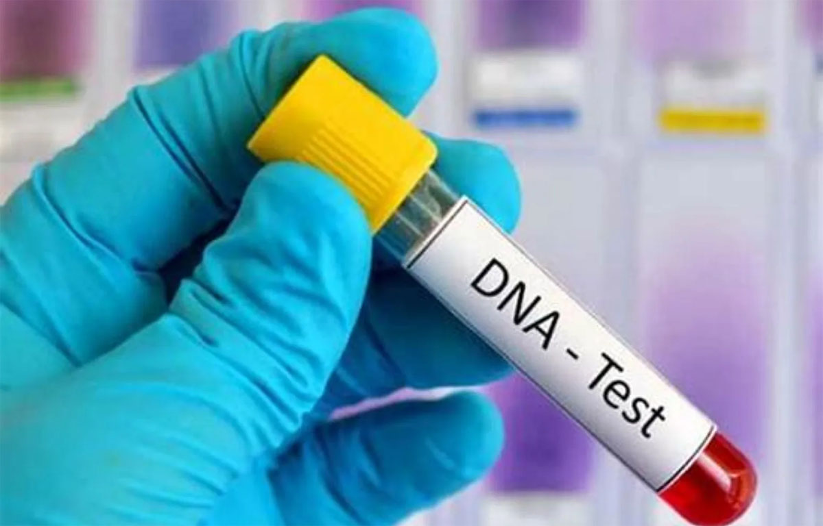 23.6% Negative: New DNA Data Shows Paternity Doubts Remain High Among Nigerian Men