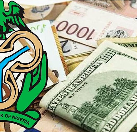 Nigeria’s External Reserves Hit $53.11bn, Nearing 17-Year Record High